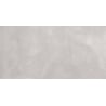 Mexen Evolution Light Grey próbka gresu szkliwionego rekt. G1, płytka podłogowo-ścienna 120 x 60 cm, carving - TL437-03-S
