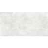 Mexen Bangkok Light Grey próbka gresu szkliwionego rekt. G1, płytka podłogowo-ścienna 120 x 60 cm, sugar - TL503-00-S