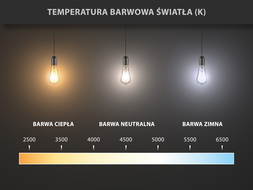 Mexen Nova żarówka LED E27, A60, 10W, Ciepła - 3000K, 1055 lm - L100-E27-1030-01