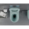 Mexen Lena miska wc Rimless z deską wolnoopadającą slim, duroplast, zielona jasna mat - 30224048
