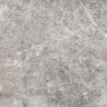 Mexen Lizard Grey gres szkliwiony rekt. G1, płytka podłogowo-ścienna 60 x 60 cm, połysk - TL109-060-060-02