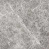 Mexen Lizard Grey gres szkliwiony rekt. G1, płytka podłogowo-ścienna 60 x 60 cm, połysk - TL109-060-060-02