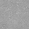 Mexen Inspira Grey gres szkliwiony rekt. G1, płytka podłogowo-ścienna 60 x 60 cm, mat - TL303-060-060-02