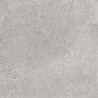 Mexen Petrich 2.0 Light Grey płyta tarasowa 60 x 60 x 2 cm, gres szkliwiony rekt. G1, mat - TL906-060-060-00
