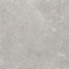 Mexen Petrich 2.0 Light Grey płyta tarasowa 60 x 60 x 2 cm, gres szkliwiony rekt. G1, mat - TL906-060-060-00