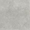 Mexen Petrich 2.0 Light Grey płyta tarasowa 60 x 60 x 2 cm, gres szkliwiony rekt. G1, mat - TL906-060-060-00