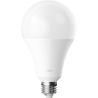 Mexen Nova 10x żarówka LED E27, A95, 25W, Zimna - 6500K, 2625 lm - L100-E27-2565-01x10