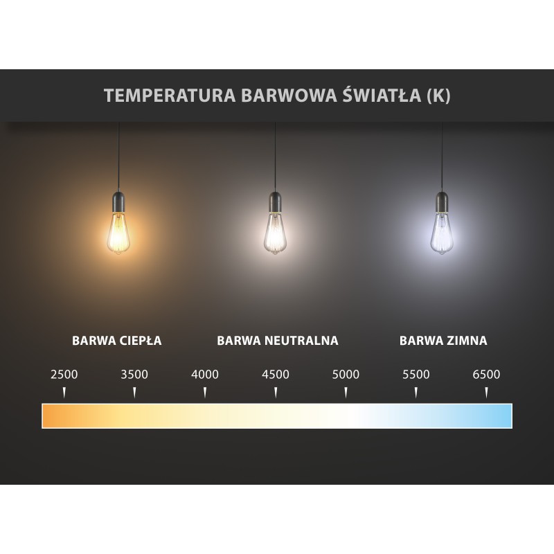 Mexen Vintis 3x żarówka filament spirala LED E27, G95, 6W, Ciepła - 2200K, 350 lm, smoke - L167-E27-0622-70x03