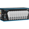 Mexen Nova 10x żarówka LED E27, G45, 8W, Zimna - 6500K, 840 lm - L101-E27-0865-01x10