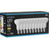 Mexen Nova 10x żarówka LED E14, R50, 8W, Ciepła - 3000K, 840 lm - L103-E14-0830-01x10