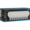Mexen Vintis 10x żarówka filament LED E14, G45, 4W, Zimna - 6500K, 470 lm, clear - L156-E14-0465-00x10