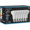 Mexen Nova 6x żarówka LED E27, R63, 10W, Zimna - 6500K, 1055 lm - L104-E27-1065-01x06