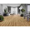 Mexen Beaver Creek próbka paneli winylowych LVT Dryback 2,5 mm, podkład PVC, 4 V-Fuga, Dąb - F1302-S