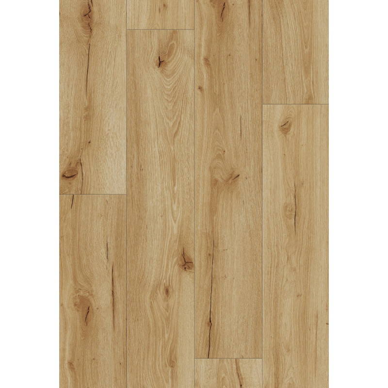Mexen Beaver Creek próbka paneli winylowych LVT Dryback 2,5 mm, podkład PVC, 4 V-Fuga, Dąb - F1302-S