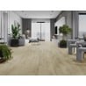 Mexen Calera próbka paneli winylowych LVT Dryback 2,5 mm, podkład PVC, 4 V-Fuga, Dąb - F1320-S