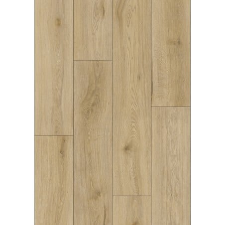 Mexen Charter Oak próbka paneli winylowych LVT Dryback 2,5 mm, podkład PVC, 4 V-Fuga, Dąb - F1322-S