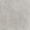 Mexen Petrich 2.0 Light Grey próbka płyty tarasowej, gres szkliwiony rekt. G1, mat - TL906-00-S