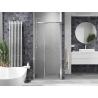 Mexen Linea drzwi prysznicowe rozsuwane 110 cm, transparent, chrom - 8E1-110-000-01-01