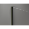Mexen Kioto ścianka prysznicowa Walk-in 120 x 200 cm, transparent 8 mm, ciemny zielony - 800-120-101-42-00